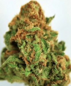 Buy Banana Kush Online