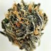 Buy legit Godfather OG Marijuana Online