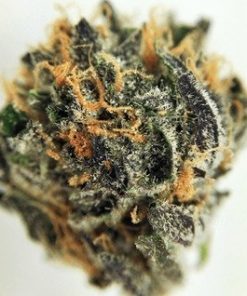 Buy legit Godfather OG Marijuana Online