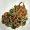 Buy Pink Berry Marijuana weed