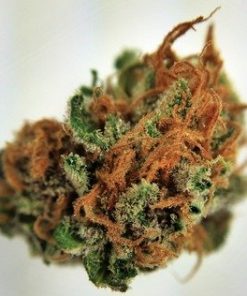 Buy Pink Berry Marijuana weed