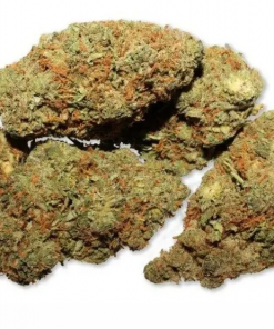 Buy Afghan Haze marijuana online