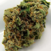 Buy Afghan Kush Marijuana Online