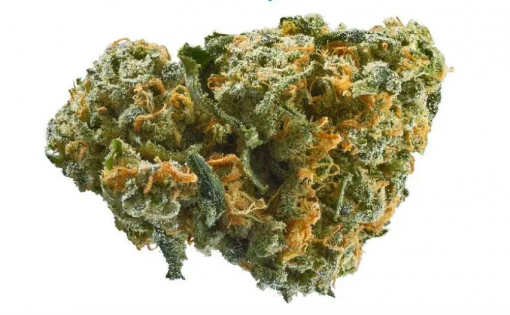 Buy Ak47 weed online