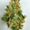 Buy Atomic Jack Marijuana weed online - Buy Marijuana And Weed