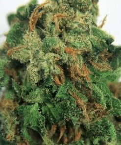 Buy Blue Dragon Weed - Buy Blue Dragon Marijuana | Buy Weed Online