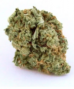 Buy Blue Dream Marijuana Online