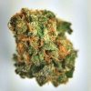 Buy Blue Goo marijuana weed online