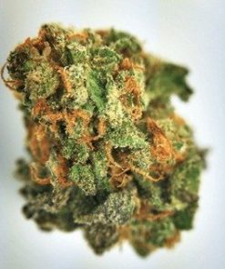 Buy Blue Goo marijuana weed online