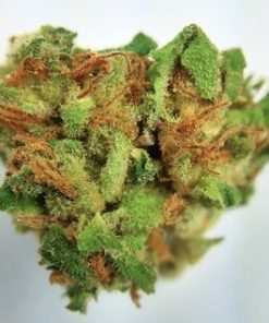 Buy Blueberry marijuana weed online - Buy Marijuana Online