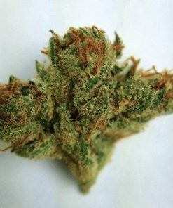 Buy Death Star Marijuana - Buy Death Star Weed online | Buy Strain online