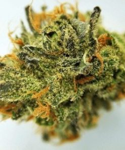 Buy Electric Lemon G Marijuana weed Online - Buy Marijuana Weed Online