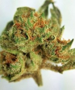 GG1 weed Marijuana