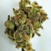 Buy Ghost OG Marijuana Online