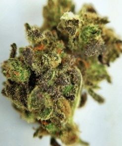 Buy Ghost OG Marijuana Online