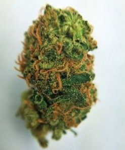 Buy Girl Scout Cookies marijuana online