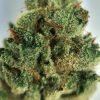 Buy Gorilla Glue #4 Weed Online - Buy Gorilla Glue 4