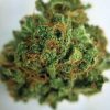 Buy Green Haze Marijuana Online - Buy Marijuana Weed Online