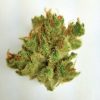 Buy Jack Flash marijuana weed online