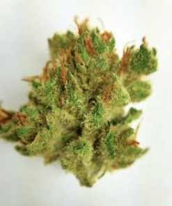 Buy Jack Flash marijuana weed online