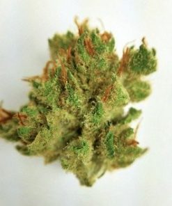 Buy Jack Herer marijuana weed online