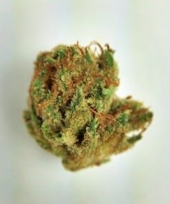 Buy Kosher Tangie Marijuana Online