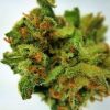 Buy Lemon G Weed Online - Buy Marijuana Weed Online