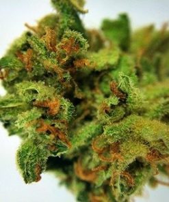 Buy Lemon G Weed Online - Buy Marijuana Weed Online