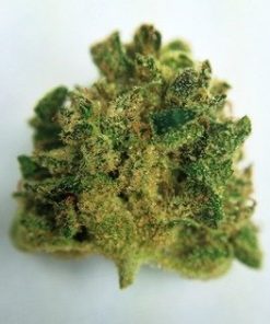 Buy Mango Haze Marijuana - Buy Mango Haze Weed | Buy weed online