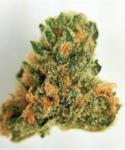 Buy Master OG Weed Online