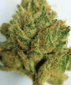 Buy Medicine Man Marijuana Online - Buy Medicine Man Weed Online