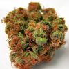 Buy Panama Red Marijuana