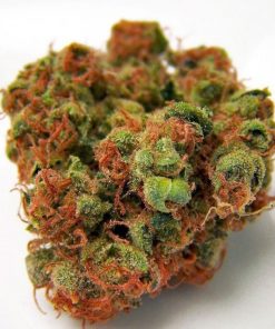 Buy Panama Red Marijuana