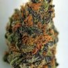 Buy Purple Kush marijuana online