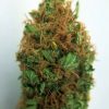 Buy Sour Cheese Marijuana Weed Online - Buy marijuana Weed Online