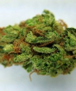 Buy Sour Dubble marijuana weed online