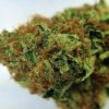 Buy Strawberry Blue - buy marijuana weed online | Buy weed online