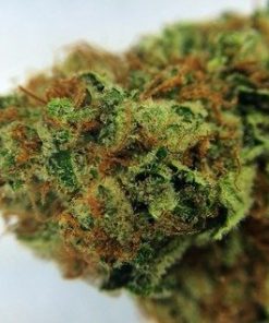 Buy Strawberry Blue - buy marijuana weed online | Buy weed online