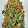 Buy Strawberry Diesel Online - Buy Strawberry Diesel marijuana weed