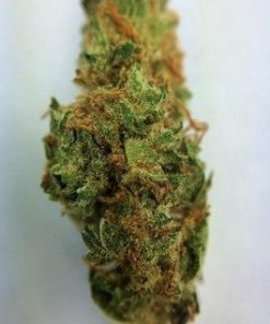 Buy Sweet Berry marijuana weed online