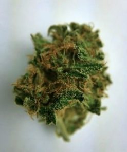 Buy Trinity marijuana -Buy Trinity weed online | Buy marijuana and weed