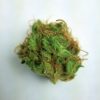 Buy White Lightning marijuana weed online