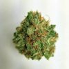 Buy White Queen marijuana weed online