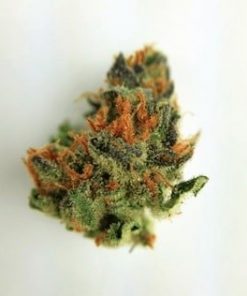 Buy Black Widow Marijuana Online - Buy Cannabis Online | Buds2go