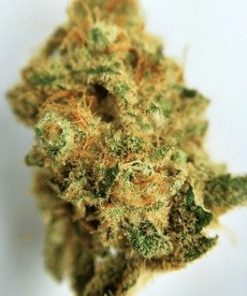 Buy Brain Freeze Online, Buy Brain Freeze marijuana weed