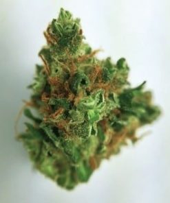 Buy Cannatonic Online - Buy Marijuana Weed Online