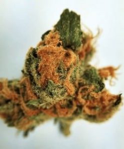 Buy Cinderella 99 weed online - Buy Marijuana Weed Online