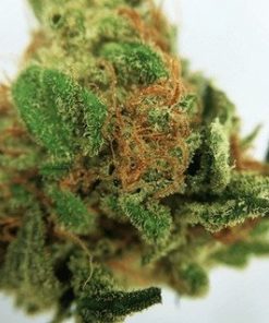 Buy Hindu Kush marijuana online