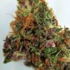 Buy Purple OG Kush marijuana weed online