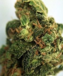 Buy Tahoe OG Kush weed online